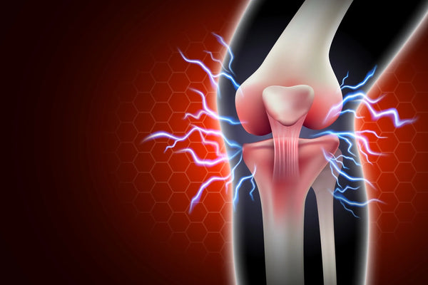 Hydration und Gelenk- & Muskelgesundheit: Der Schlüssel für ein aktives, schmerzfreies Leben
