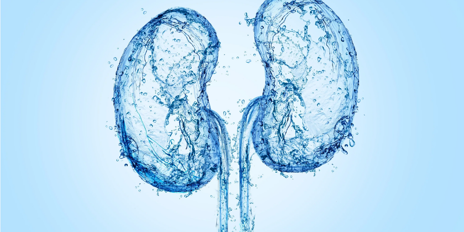 Hydration und Nierenfunktion: Der Schlüssel zu einem gesunden Filtersystem