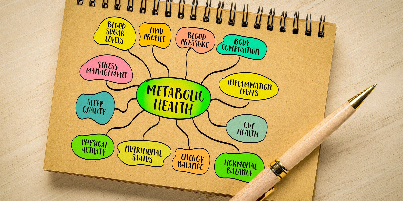 Hydration, Verdauung und Stoffwechsel: Die essentielle Verbindung