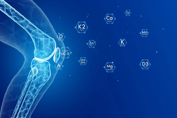 Der Zusammenhang zwischen Hydration und Immunfunktion: Stärken Sie Ihre Gesundheit durch ausreichende Flüssigkeitszufuhr