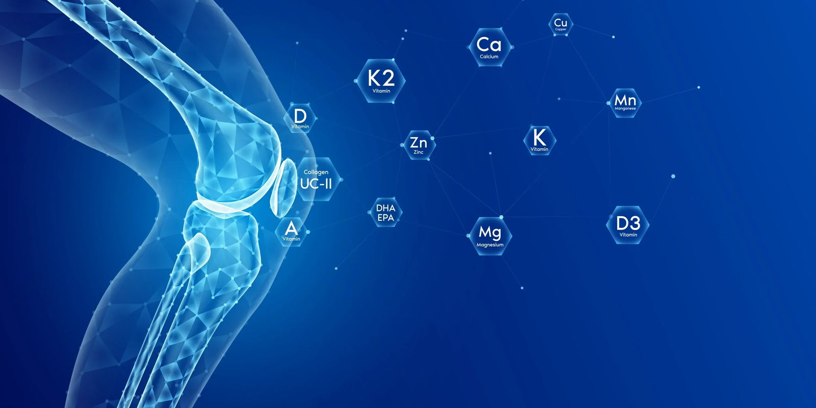 Der Zusammenhang zwischen Hydration und Immunfunktion: Stärken Sie Ihre Gesundheit durch ausreichende Flüssigkeitszufuhr