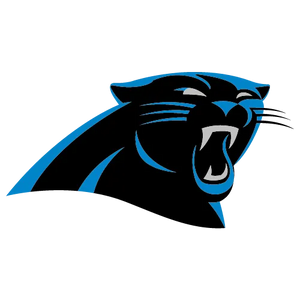 Carolina Panthers Flaschen