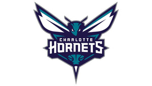 Charlotte-Hornets-Wasserflaschen | ION8 x NBA