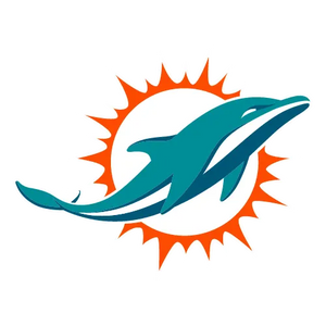 Miami Dolphins Flaschen