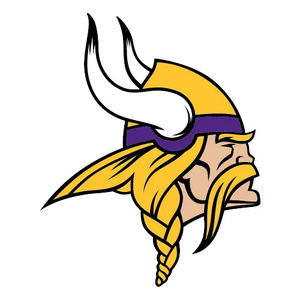 Minnesota Vikings Flaschen