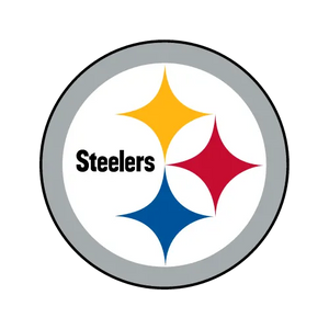 Pittsburgh Steelers Flaschen