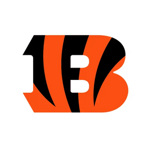 Cincinnati Bengals Flaschen