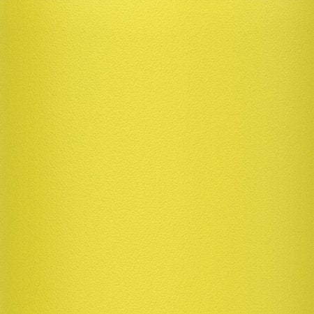 Isolierte Edelstahl-Wasserflasche, Dinosaurier, 320 ml