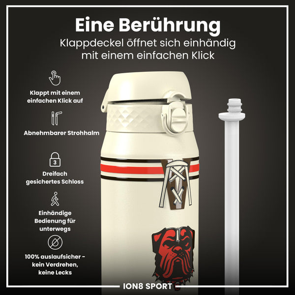 NFL x ION8, Isolierte Stahlflasche, Browns, 750 ml