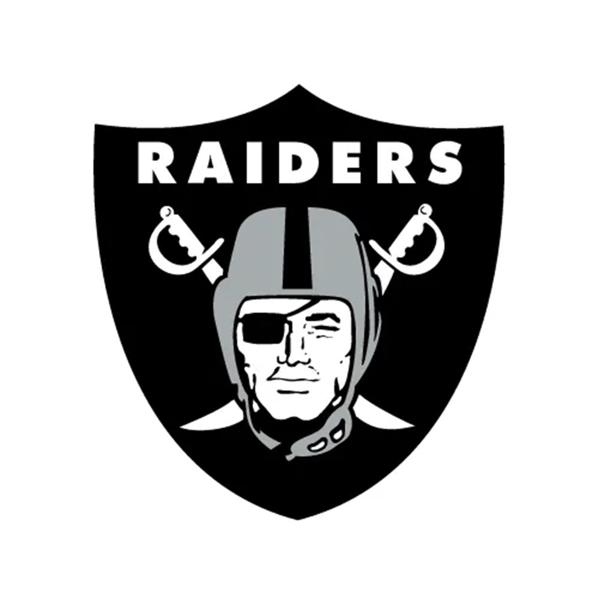 NFL x ION8, Isolierte Stahlflasche, Raiders, 750 ml