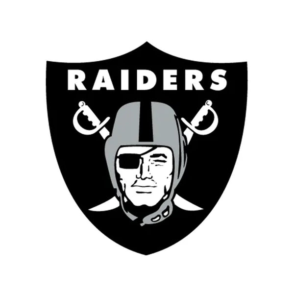 NFL x ION8, Isolierte Stahlflasche, Raiders, 750 ml