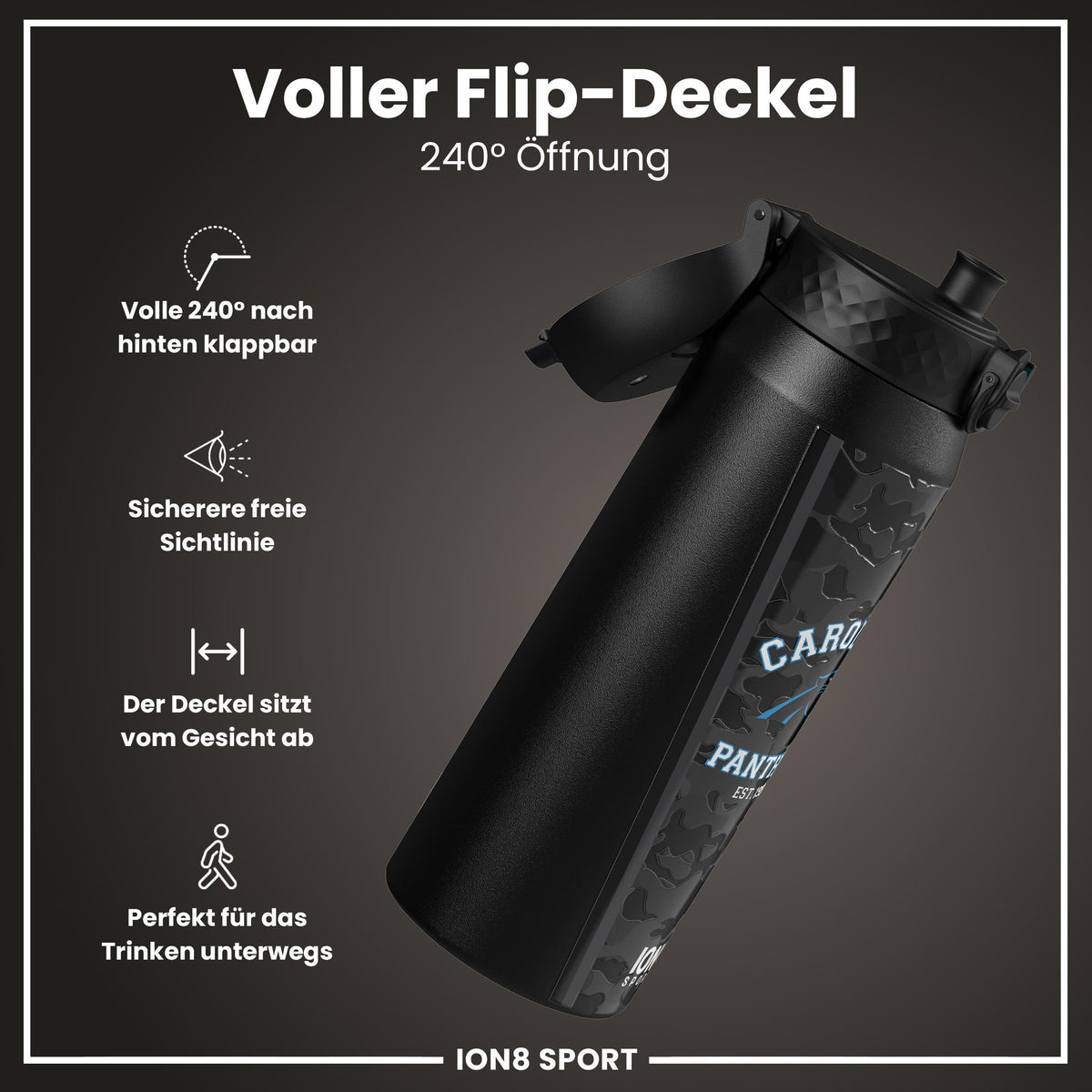 NFL x ION8, Isolierte Stahlflasche, Panthers, 750 ml