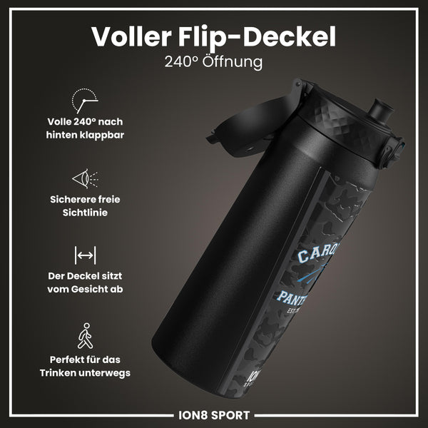 NFL x ION8, Isolierte Stahlflasche, Panthers, 750 ml