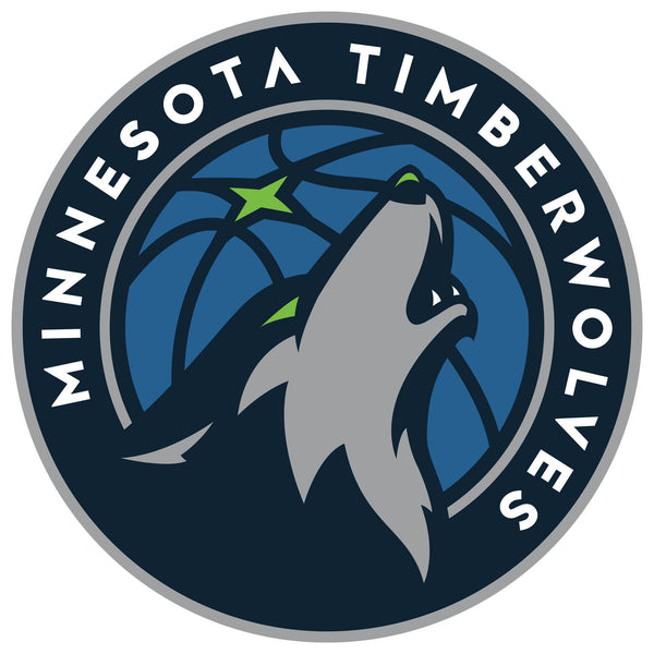 NBA x ION8, Isolierte Edelstahl, MN Timberwolves, 750 ml