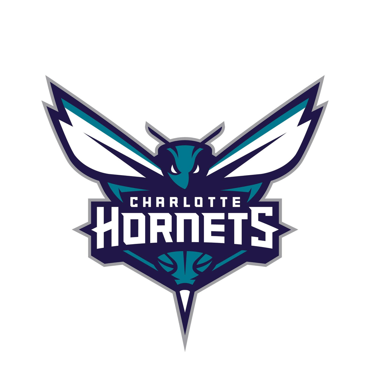 NBA x ION8, Isolierte Edelstahl, Charlotte Hornets, 750 ml