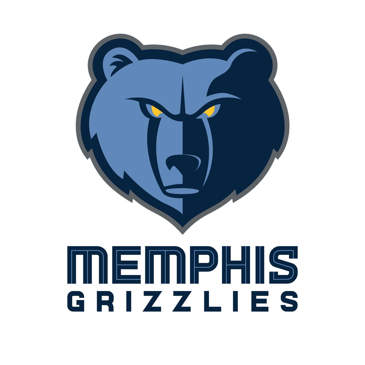 NBA x ION8, Isolierte Edelstahl, Memphis Grizzlies, 750 ml
