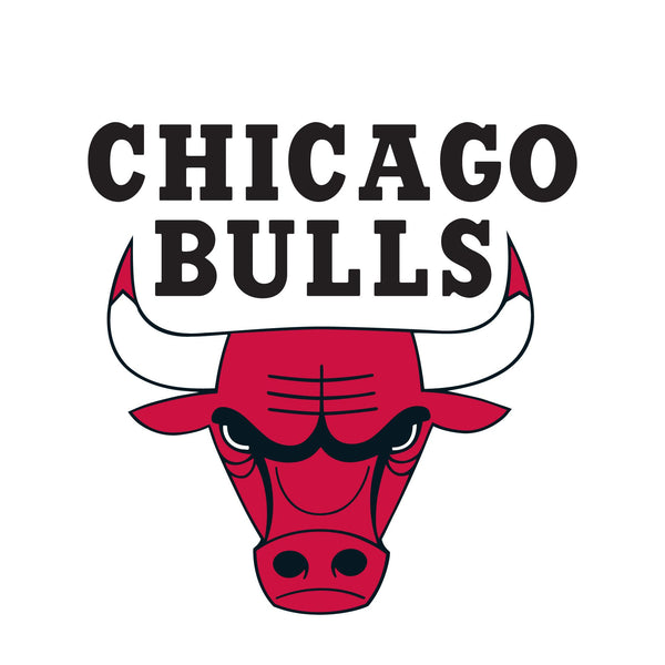 NBA x ION8, Isolierte Edelstahl, Chicago Bulls, 750 ml