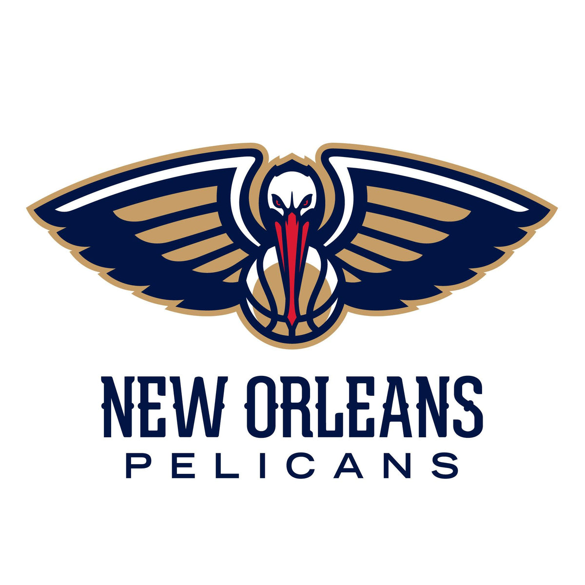 NBA x ION8, Isolierte Edelstahl, NOLA Pelicans, 750 ml