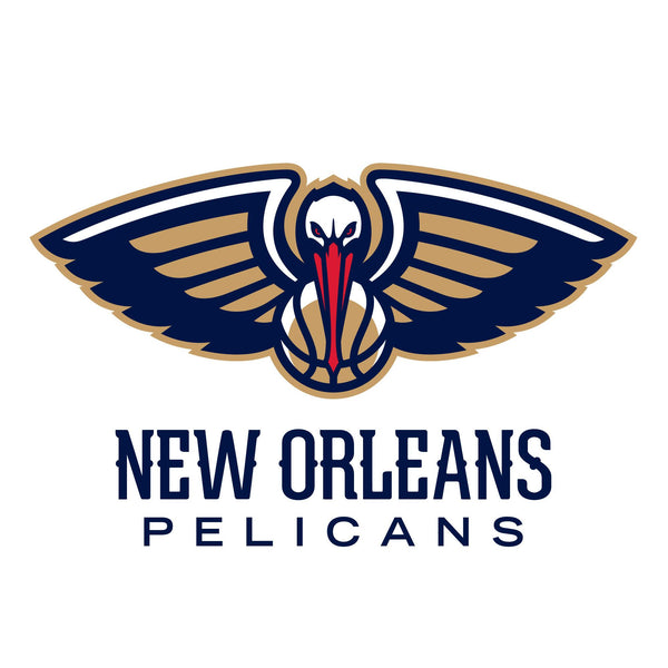 NBA x ION8, Isolierte Edelstahl, NOLA Pelicans, 750 ml