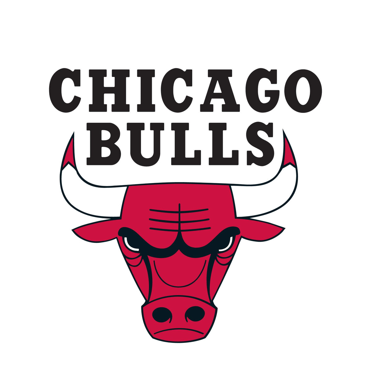 NBA x ION8, Isolierte Edelstahl, Chicago Bulls, 750 ml