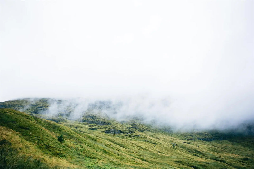  Grass-covered hills are partially obscured by fog, creating a misty, mountainous landscape.