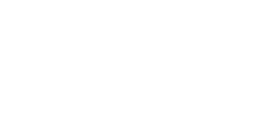 ION8 DE
